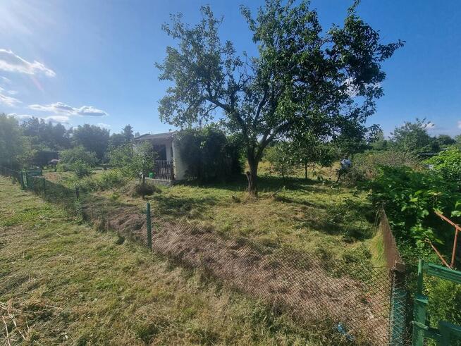 Ogródek działkowy rod