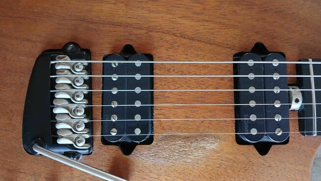 Gitara Parker Nitefly M (jak Music Man)