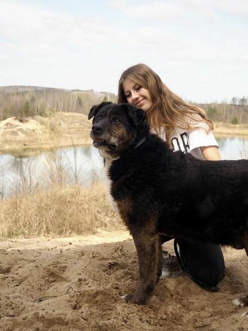 Ajman-cudowny pies czeka na wyjątkowy dom-adopcja