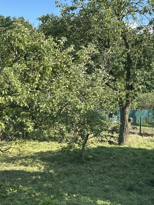 Ogródek działkowy rod