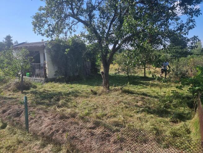 Ogródek działkowy rod