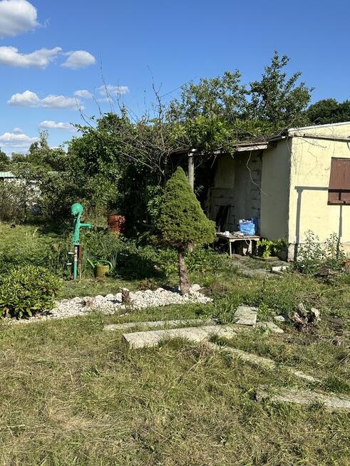 Ogródek działkowy rod