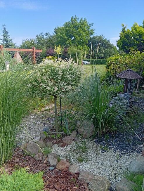 Sprzedam działkę Rod