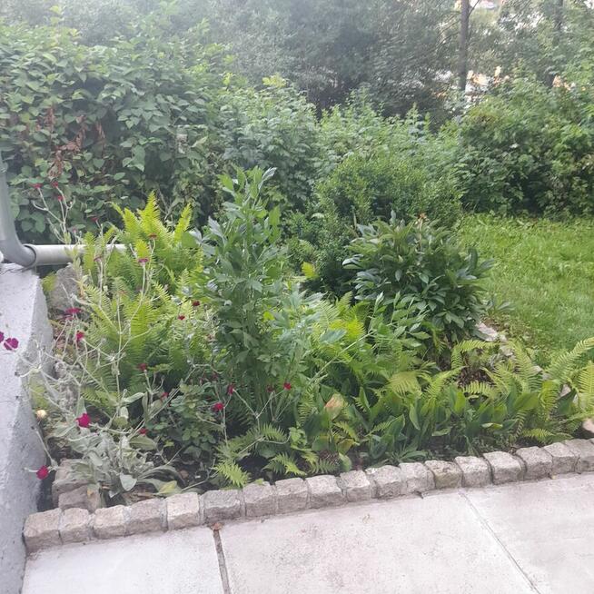 Mieszkanie Przybódówka Okazja!