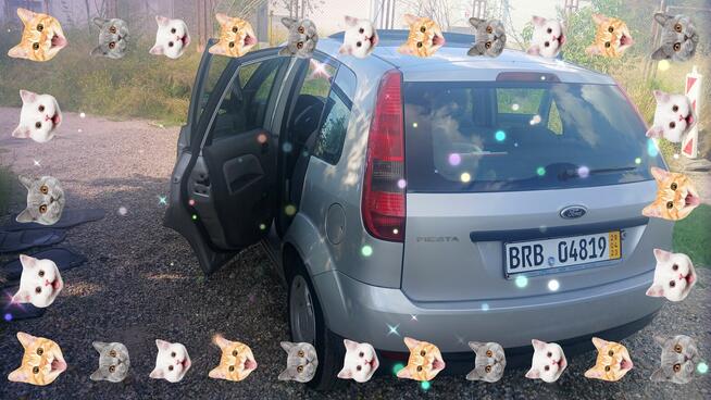 Ford Focus 2002 rok 1.4 benzyna stan idealny
