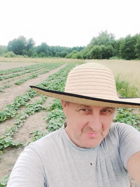 Zapraszam panją na wakacje połowa sierpnia wyjazd