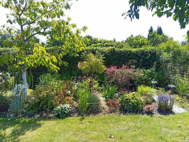 Sprzedam działkę Rod