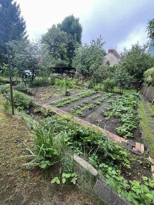 Sprzedam mieszkanie 50,4 m² – Oliwa, ul. Grottgera – ogródek