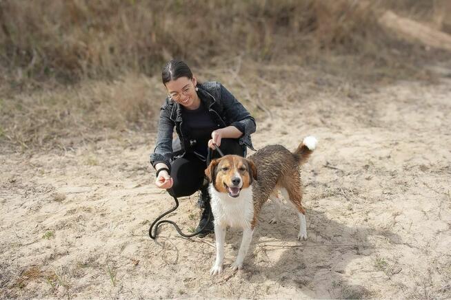 Rumpel-piękny pies czeka na wyrozumiały dom-adopcja