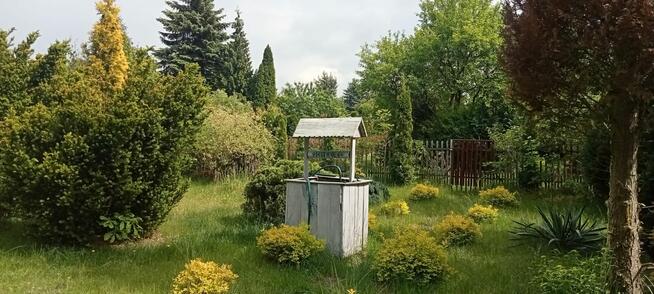 Działkę ROD w Łagiewnikach sprzedam