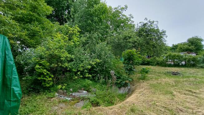 Działka ROD 450m2 ul. Obornicka ROD Wodnik