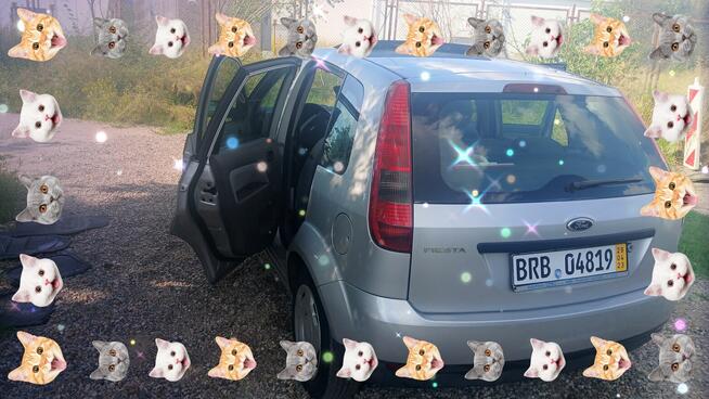 Ford Focus 2002 rok 1.4 benzyna stan idealny