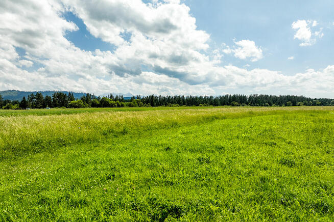 Dębno: działka budowlana z panoramą Tatr