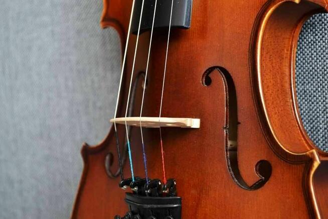 Skrzypce do nauki i ćwiczeń. Wypożyczalnia z dostawą.