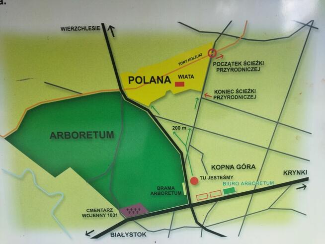 Koleżanki szukam na spacery nordic walking