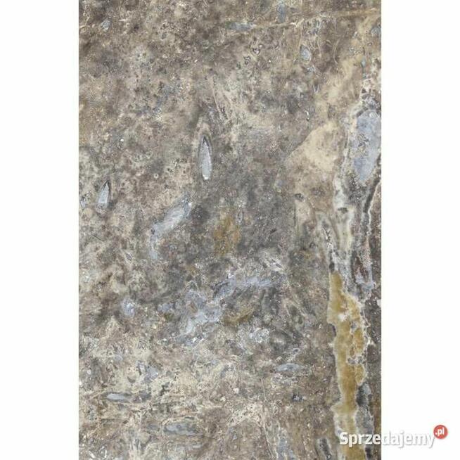 Płytki Trawertyn SilverAsh szlifowane i wypełniane61x40,6x1,