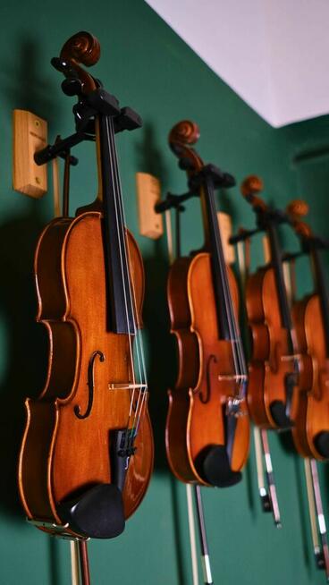 Skrzypce do nauki i ćwiczeń. Wypożyczalnia z dostawą.