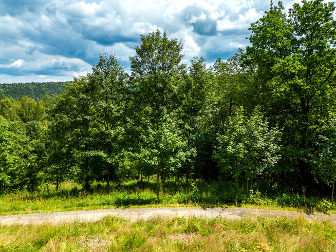 Wyjątkowa działka rekreacyjna – Twoja oaza spokoju