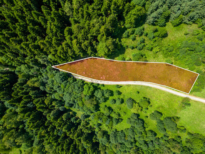Wyjątkowa działka rekreacyjna – Twoja oaza spokoju