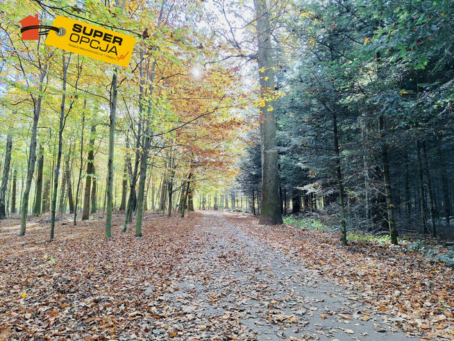 Działka budowlana Tarnów,