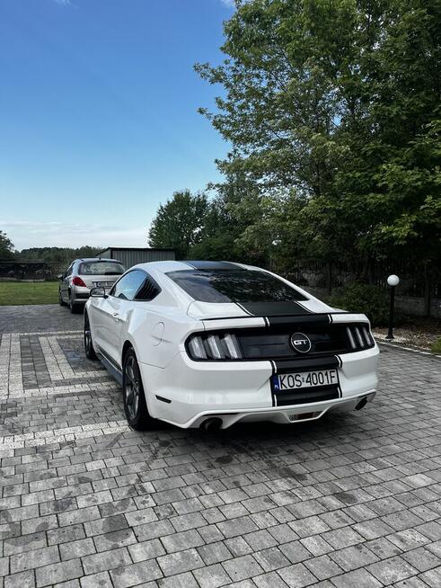 Ford mustang 3.7