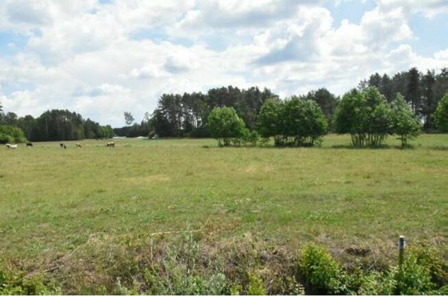 Syndyk sprzeda-Tartak i Sul, nieruchomość gruntowa 2,0711 ha