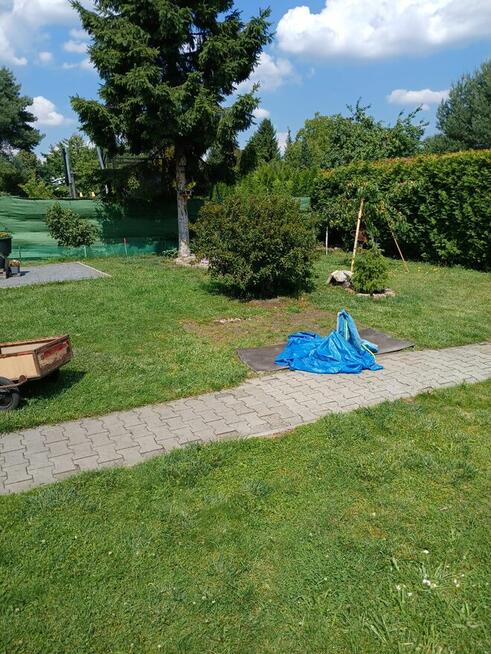 Ogródek działkowy