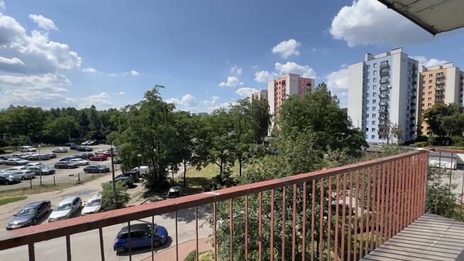 Sosnowiec Centrum Jagiellońska 2 piętro 51,35 m2 duży balkon