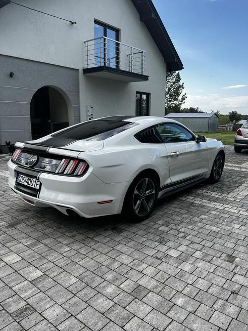 Ford mustang 3.7