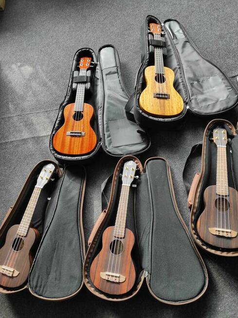 Gitara Klasyczna/Akustyczna. Nie Kupuj, Wypożycz! Cała PL