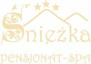Konserwator (Złota Rączka)