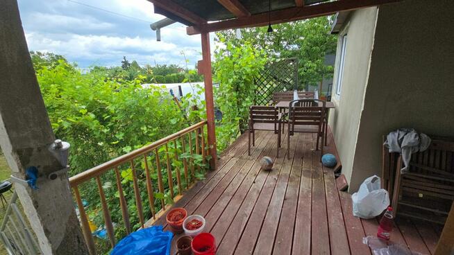 Działka ROD Zielony Zakątek Chodzież