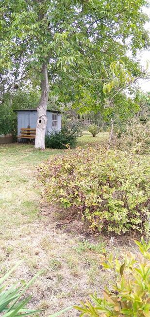 Działka ROD na sprzedaż