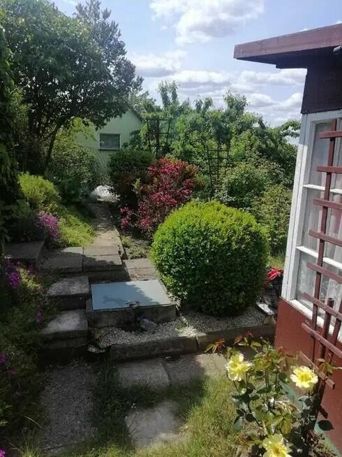 Rodzinny Ogród Działkowy ROD w centrum Bartoszyce