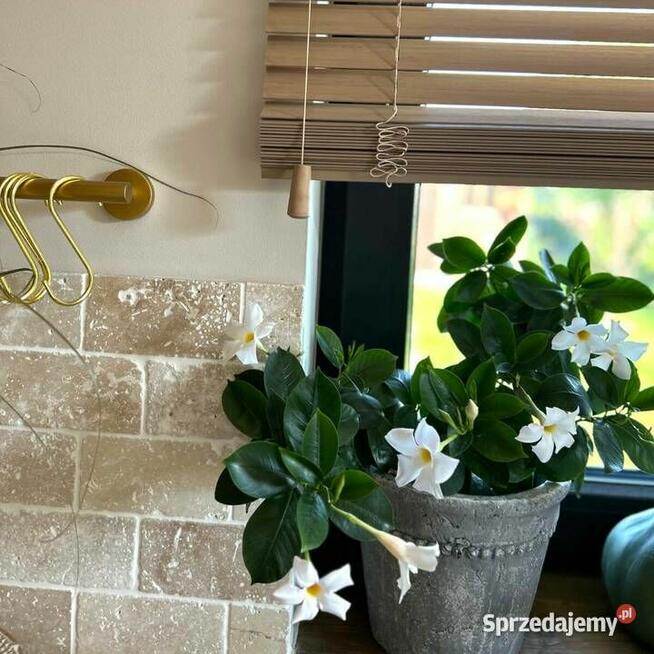 Płytki Trawertyn Classic bębnowany 15x7,5x1 cm