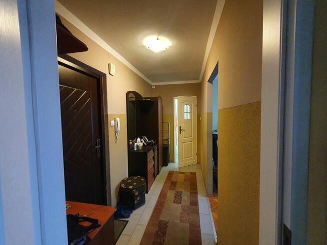 Mieszkanie do wynajęcia