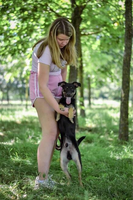 Lelek-młody, skrzywdzony psiak czeka na wyrozumiały dom