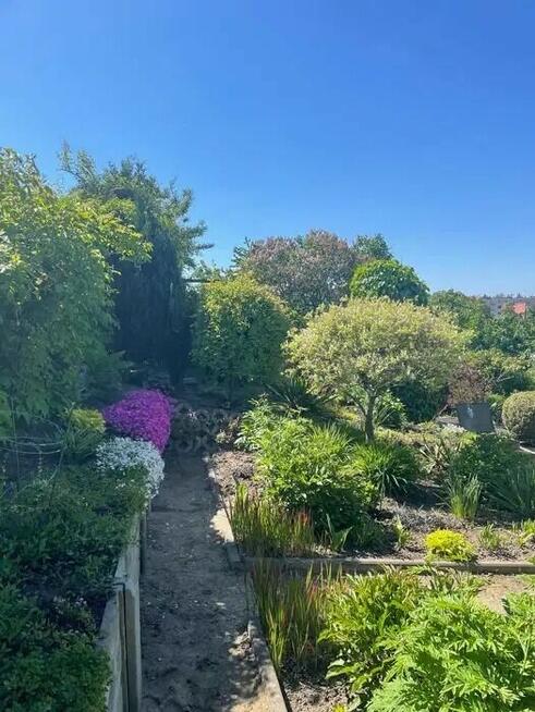 Rodzinny Ogród Działkowy ROD w centrum Bartoszyce