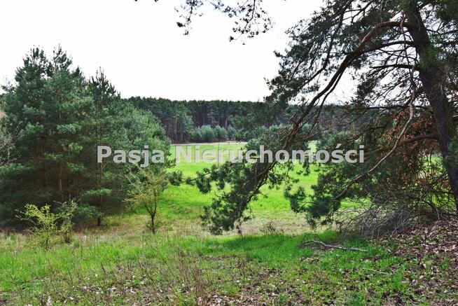 Działka rolna Płock Borowiczki-Parcele