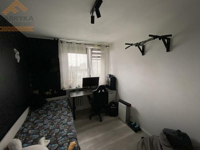 Mieszkanie Wrocław Psie Pole