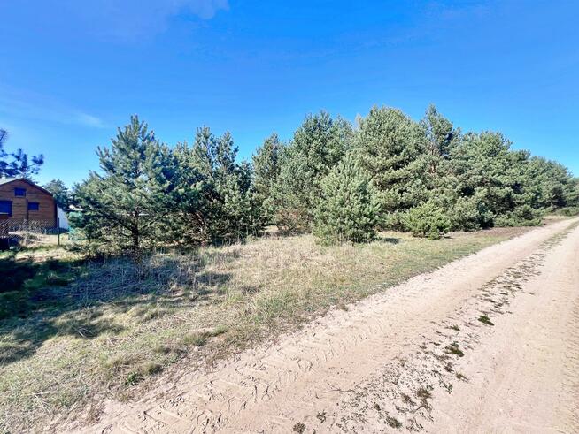 Działka rolna gm. Dobroszyce, Białe Błoto