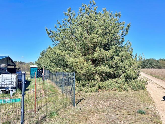 Działka rolna gm. Dobroszyce, Białe Błoto