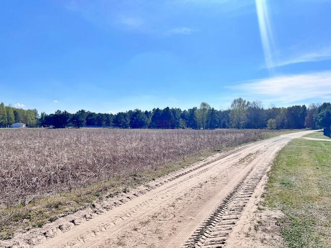 Działka rolna gm. Dobroszyce, Białe Błoto