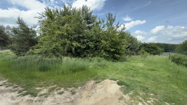 Działka budowlana Piszkawa gm. Oleśnica