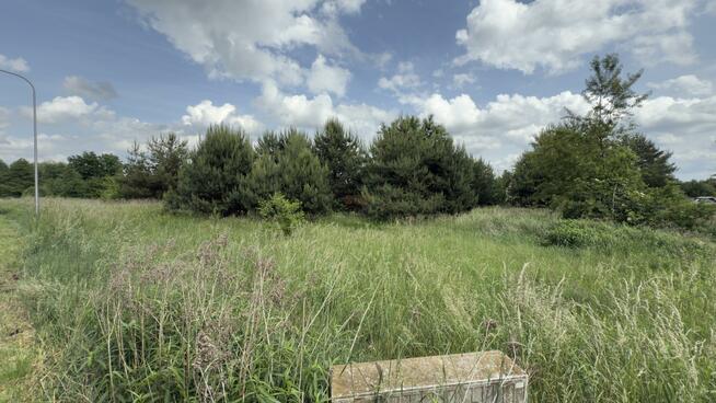 Działka budowlana Piszkawa gm. Oleśnica