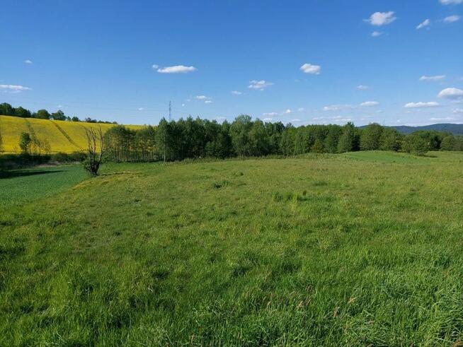 Działka rolna Chrząstówka gm. Jasło,