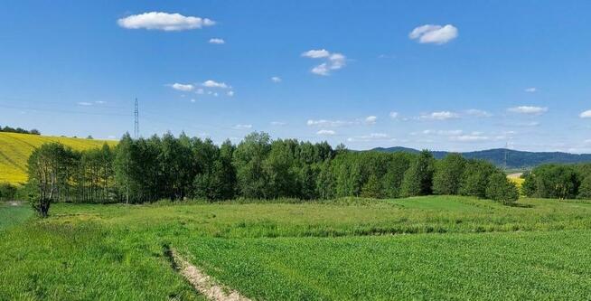 Działka rolna Chrząstówka gm. Jasło,