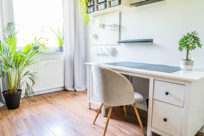 Dom Stary Borek gm. Kołobrzeg