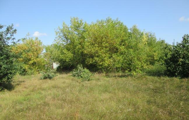 Działka usługowa Legionowo