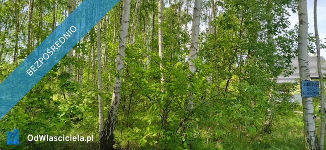 Działka Budowlana 1000 m² Prażmów Błonie